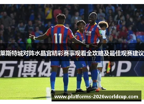 莱斯特城对阵水晶宫精彩赛事观看全攻略及最佳观赛建议