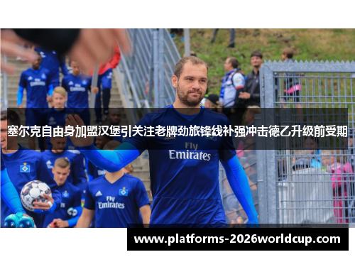塞尔克自由身加盟汉堡引关注老牌劲旅锋线补强冲击德乙升级前受期